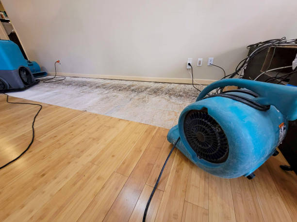 Professional Water Damage Repair technician working in Anza, CA